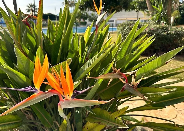 Santa Clara Views Lägenhet Torremolinos