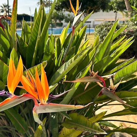 Santa Clara Views Διαμέρισμα Τορρεμολίνος